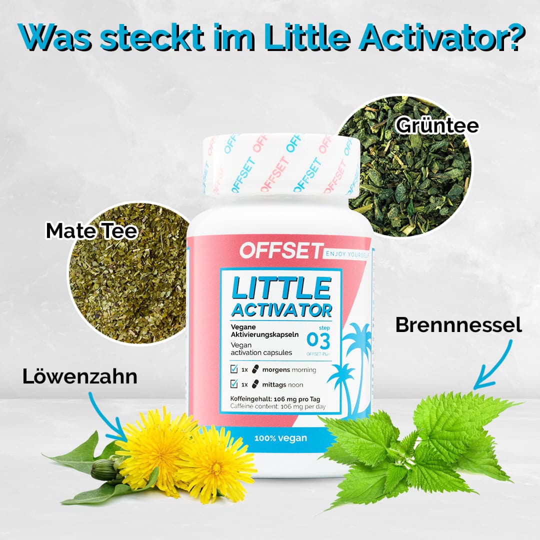 Little_ActivatormV3H4b9Q0wNp7