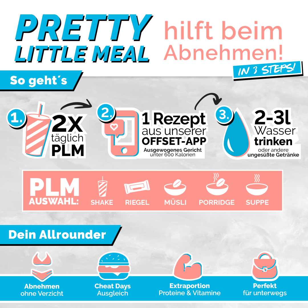 PLM-Infografik-V01-min